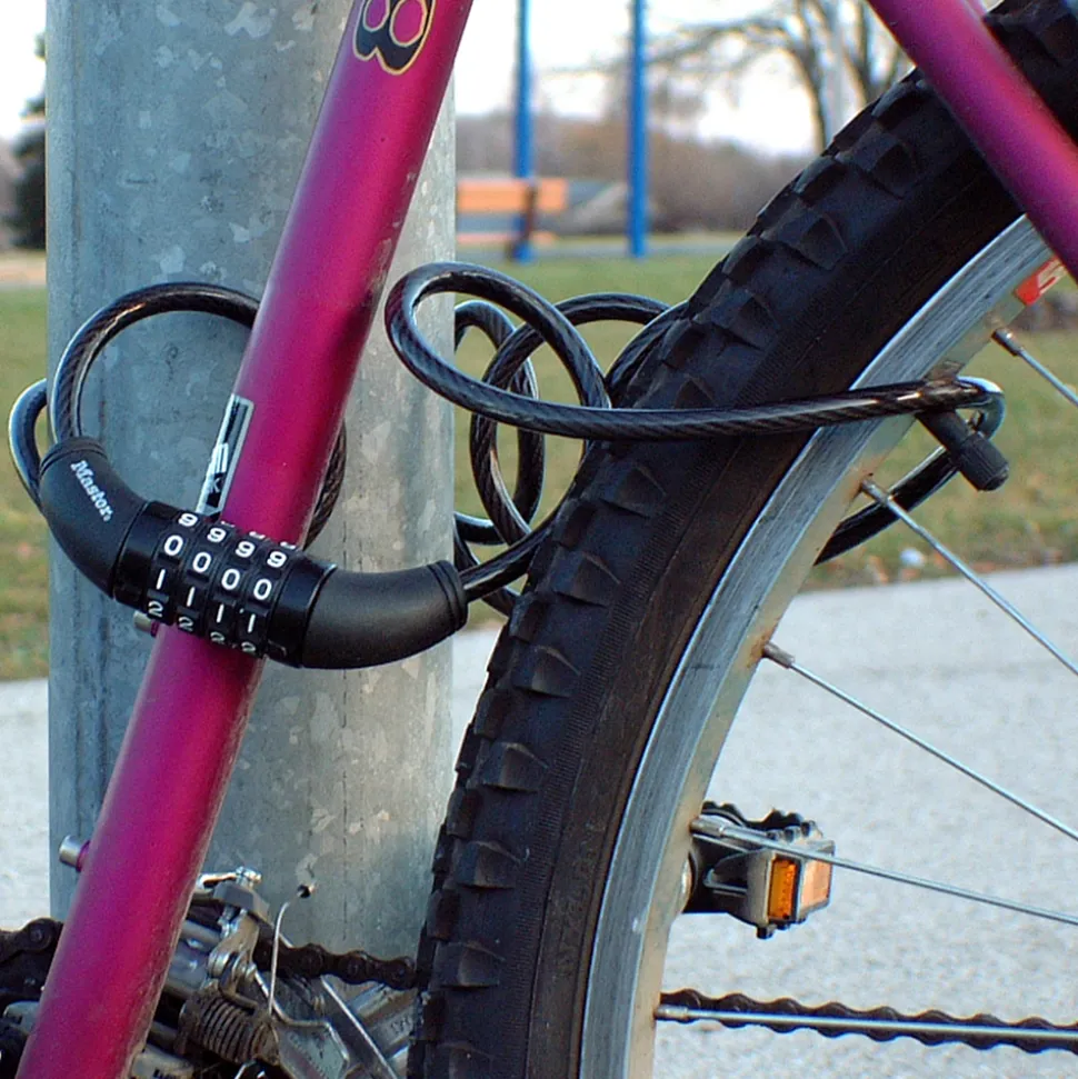 Chains and Cable Locks