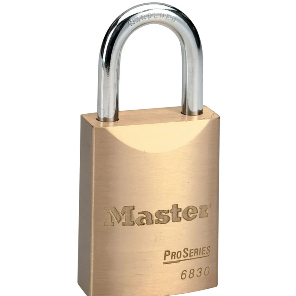 ProSeries® Solid Brass Lock