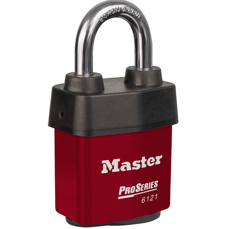 ProSeries® Weather Tough® Laminated Lock