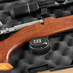 Trigger Locks
