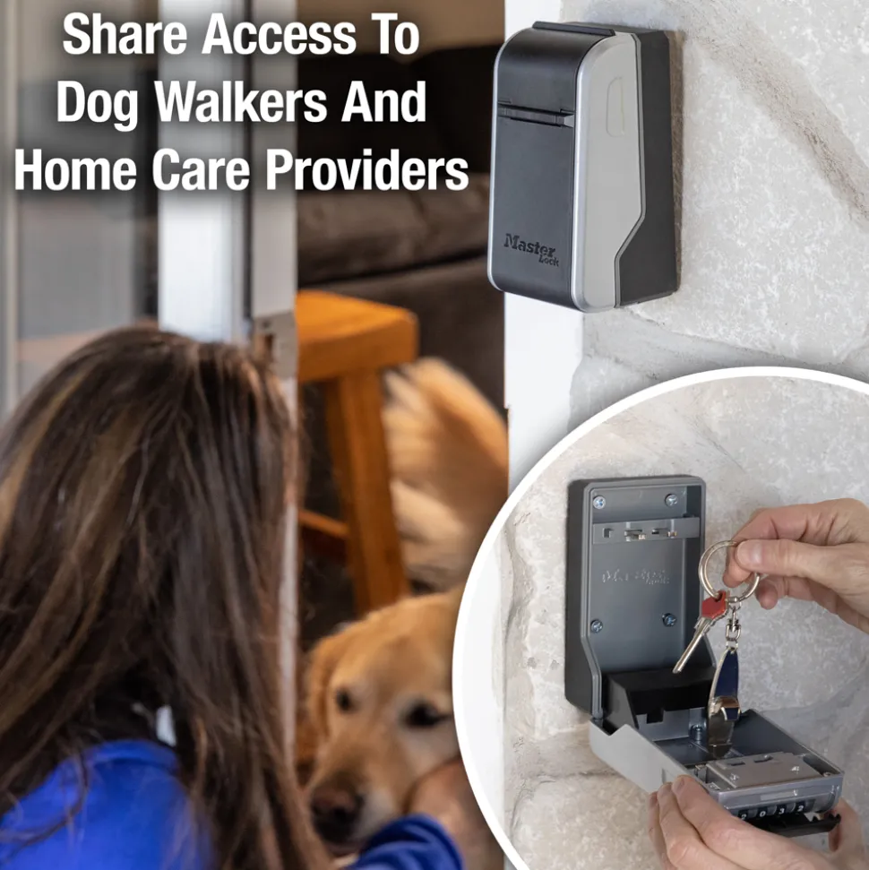 Wall Mount Lock Boxes